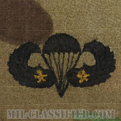 戦闘空挺章 (ベーシック) 降下2回（Combat Parachutist Badge, Basic, Two Jump）[OCP（7C）/パッチ]の画像