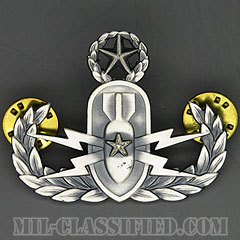 爆破物処理章 (マスター)（Explosive Ordnance Disposal, Master）[カラー/1960s/燻し銀（銀張り・Silver Filled）/バッジ/中古1点物]の画像