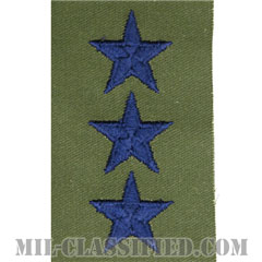 中将（Lieutenant General (LTG)）[サブデュード/空軍階級章（肩用）/パッチ/ペア（2枚1組）]画像