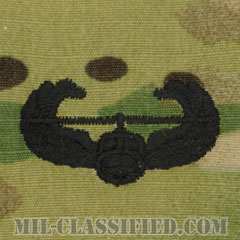 空中突撃章 (エアアサルト)（Air Assault Badge）[OCP（7C）/パッチ]の画像