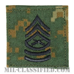 曹長（Master Sergeant (MSgt)）[MARPAT/ウッドランド/海兵隊階級章/ベルクロ付パッチ]画像