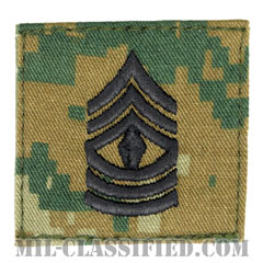 先任曹長（First Sergeant (1stSgt)）[MARPAT/ウッドランド/海兵隊階級章/ベルクロ付パッチ]画像