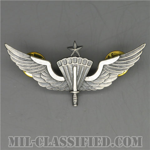 自由降下章（シニア）試作品（Military Freefall Parachutist Badge, HALO, Senior, Prototype）[カラー/1980s/燻し銀/バッジ/1点物]の画像