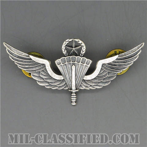 自由降下章（マスター）試作品（Military Freefall Parachutist, HALO, Jumpmaster, Prototype）[カラー/1980s/燻し銀/バッジ/1点物]の画像