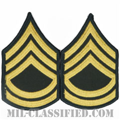 一等軍曹（Sergeant First Class (SFC)）[カラー（グリーン）/階級章（女性用）/1996-/パッチ/ペア（2枚1組）]画像