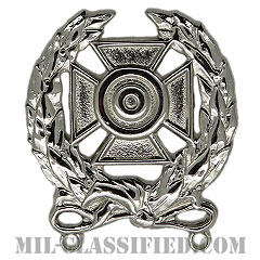 射撃技術章 (エキスパート)（Marksmanship Badge, Expert）[カラー/鏡面仕上げ/バッジ]の画像