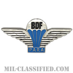 ボツワナ共和国軍空挺章（Foreign Parachutist Badge, Botswana）[カラー/バッジ]の画像