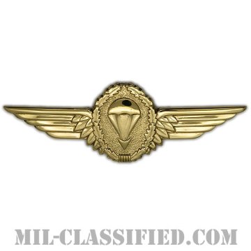ドイツ連邦共和国軍空挺章 (ゴールド)（Parachutist Badge, Germany, Gold）[カラー/バッジ]画像