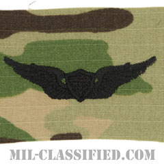 飛行士章 (ベーシック・パイロット)（Army Aviator (Pilot), Basic）[OCP（7C）/パッチ]の画像