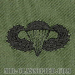 空挺章 (ベーシック)（Parachutist Badge, Basic）[サブデュード/パッチ]の画像