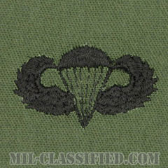 空挺章 (ベーシック)（Parachutist Badge, Basic）[サブデュード/パッチ]画像