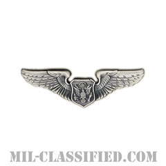 航空機搭乗員章 (将校用エアクルー)（Air Force Officer Aircrew Badge）[カラー/燻し銀/ミニサイズ/バッジ]の画像