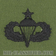 空挺章 (シニア)（Parachutist Badge, Senior, Senior）[サブデュード/パッチ]画像