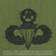 空挺章 (マスター)（Parachutist Badge, Master）[サブデュード/パッチ]の画像