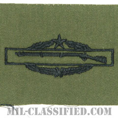 戦闘歩兵章 (セカンド)（Combat Infantryman Badge (CIB), Second Award）[サブデュード/パッチ]の画像