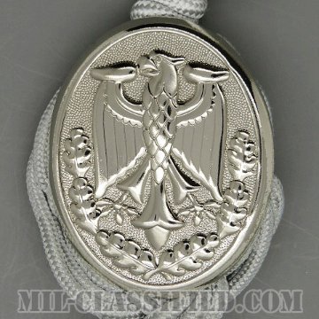 ドイツ連邦共和国軍 射撃技術章 (シルバー)（German Armed Forces Badge for Weapons Proficiency, Silver）[カラー/バッジ（ランヤード/飾緒）]画像