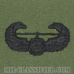 空中突撃章 (エアアサルト)（Air Assault Badge）[サブデュード/パッチ]の画像