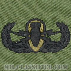 爆破物処理章 (ベーシック) （Explosive Ordnance Disposal (EOD), Badge, Basic）[サブデュード/パッチ]の画像