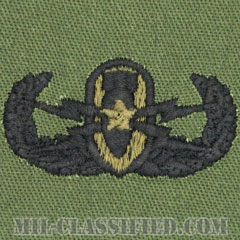 爆破物処理章 (シニア) （Explosive Ordnance Disposal (EOD), Badge, Senior）[サブデュード/パッチ]の画像