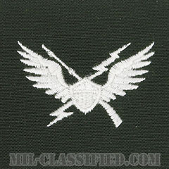空中突撃章 (エアアサルト)（Air Assault Badge）[カラー/1964-1965/パッチ/レプリカ]の画像