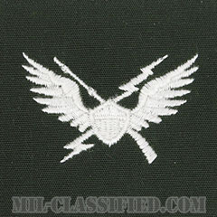 空中突撃章 (エアアサルト)（Air Assault Badge）[カラー/1964-1965/パッチ/レプリカ]画像