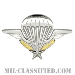 フランス共和国軍空挺章（Foreign Parachutist Badge, France）[カラー/バッジ]の画像