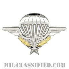 フランス共和国軍空挺章（Foreign Parachutist Badge, France）[カラー/バッジ]画像
