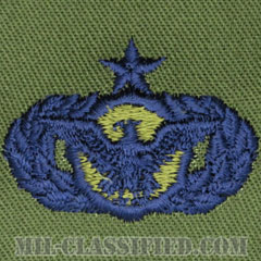 警備機能章 (シニア)（Security Police Functional Badge, Senior）[サブデュード/ブルー刺繍/パッチ]画像