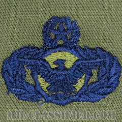 警備機能章 (マスター)（Security Police Functional Badge, Master）[サブデュード/ブルー刺繍/パッチ]の画像