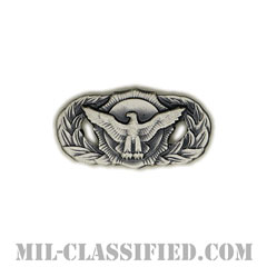 警備機能章 (ベーシック)（Security Police Functional Badge, Basic）[カラー/燻し銀/ミニサイズ/バッジ]の画像