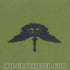 自由降下章 (ベーシック) （Military Freefall Parachutist Badge, HALO, Basic）[サブデュード/パッチ]の画像