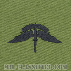 自由降下章 (ベーシック) （Military Freefall Parachutist Badge, HALO, Basic）[サブデュード/パッチ]画像