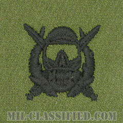 特殊作戦潜水員章（Diver Badge, Special Operations Diver）[サブデュード/パッチ]の画像