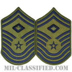 先任曹長用デバイス（First Sergeant, Device）[サブデュード/メロウエッジ/空軍階級章（-1991）/Large（男性用）/パッチ/ペア（2枚1組）]画像