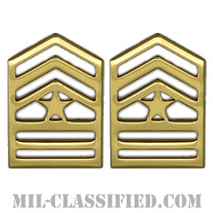 上級曹長 (士官学生用)（Cadet, Sergeant Major (SGM)）[カラー/階級章/バッジ/ペア（2個1組）]画像