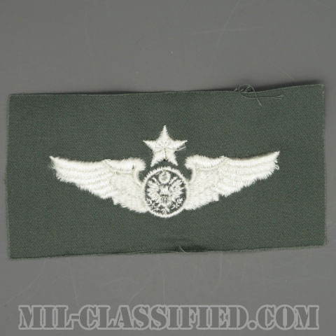 航空機搭乗員章 (下士官用シニア・エアクルー)（Air Force Enlisted Senior Aircrew Badge）[カラー/空軍セージグリーン生地/パッチ/1点物]画像