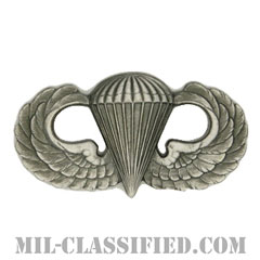 空挺章 (ベーシック)（Parachutist Badge, Basic）[カラー/燻し銀/バッジ]の画像