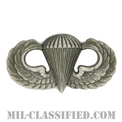 空挺章 (ベーシック)（Parachutist Badge, Basic）[カラー/燻し銀/バッジ]画像