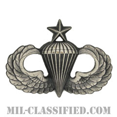 空挺章 (シニア)（Parachutist Badge, Senior, Senior）[カラー/燻し銀/バッジ]画像