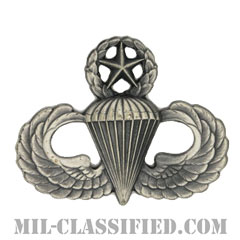 空挺章 (マスター)（Parachutist Badge, Master）[カラー/燻し銀/バッジ]画像