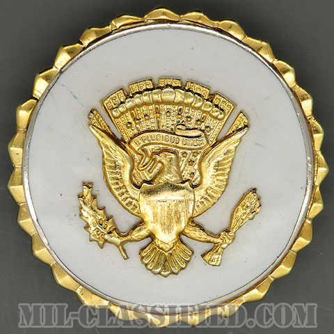 副大統領奉仕章（Vice Presidential Service）[カラー/バッジ/中古1点物]の画像