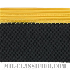 下士官用（Army Enlisted, Service Cap Braid） [ASU用帽帯章（サービスキャップ用キャップブレード）]画像
