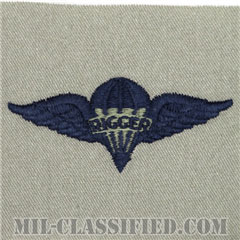パラシュート整備士 (パラシュートリガー)（Parachute Rigger Badge）[ABU/パッチ]の画像