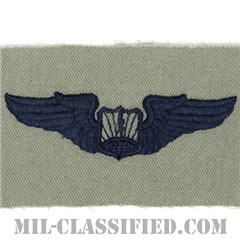 遠隔操縦航空機縦士章 (パイロット)（Remotely Piloted Aircraft Pilot Badge, Basic）[ABU/パッチ]の画像