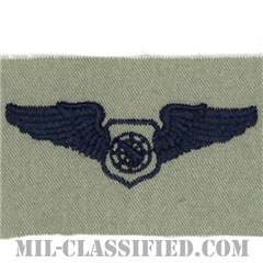 空中戦闘管制章 (ベーシック)（Air Battle Manager Badge, Basic）[ABU/パッチ]の画像