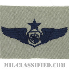 空中戦闘管制章 (シニア)（Air Battle Manager Badge, Senior）[ABU/パッチ]の画像