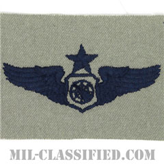 空中戦闘管制章 (シニア)（Air Battle Manager Badge, Senior）[ABU/パッチ]画像