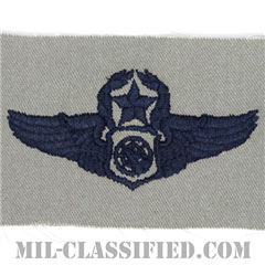 空中戦闘管制章 (マスター)（Air Battle Manager Badge, Master）[ABU/パッチ]の画像