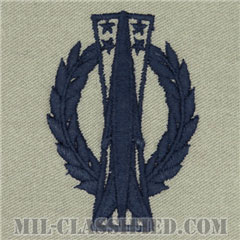 ミサイル運用章 (ベーシック)（Missile Operations Badge, Basic）[ABU/パッチ]の画像
