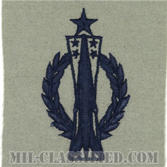 ミサイル運用章 (シニア)（Missile Operations Badge, Senior）[ABU/パッチ]の画像